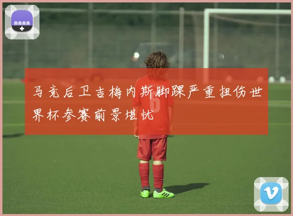 马竞后卫吉梅内斯脚踝严重扭伤世界杯参赛前景堪忧