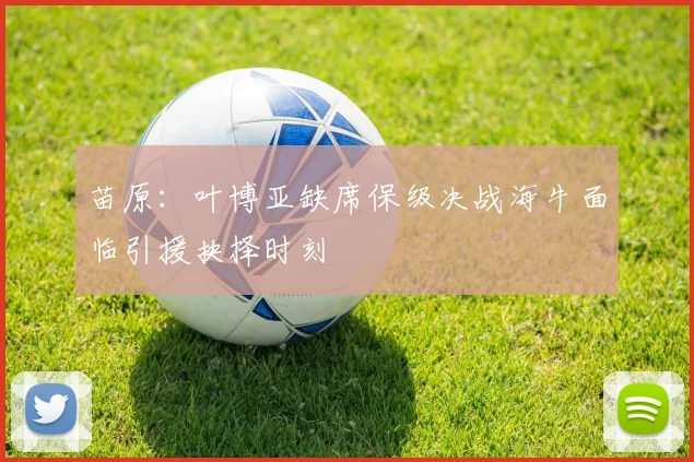苗原：叶博亚缺席保级决战海牛面临引援抉择时刻